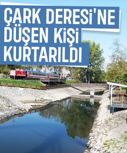 Çark Deresi'ne düştü, itfaiye kurtardı