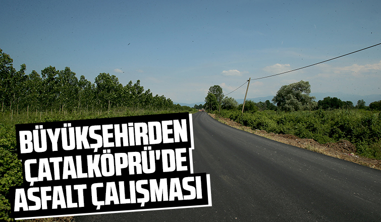 Çatalköprü yolu asfaltlandı