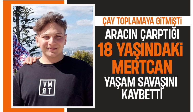 Çay toplamaya gitmişti kazada hayatını kaybetti