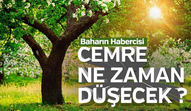 Cemre Ne Zaman Düşecek  2019 ilk cemre ne zaman düşecek 