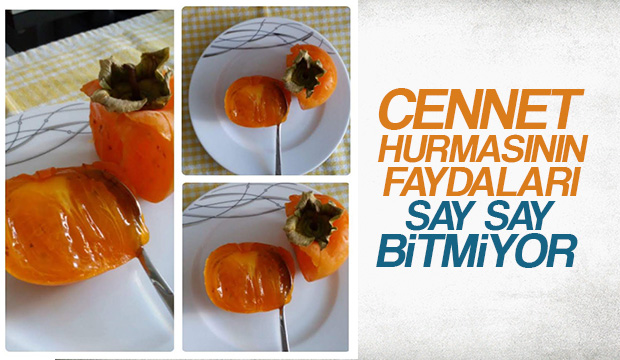 Cennet Hurmasının Faydaları