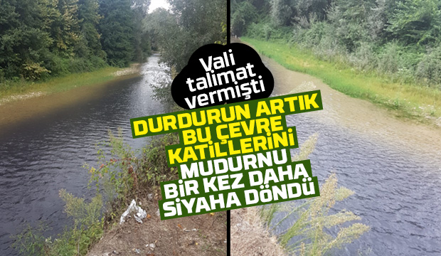 Çevre katillerini kim durduracak