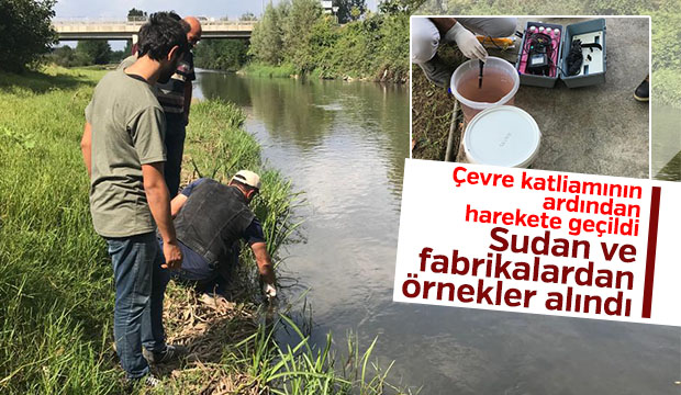 Çevre katliamının ardından harekete geçildi