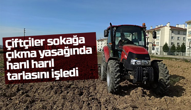 Çiftçiler sokağa çıkma yasağında harıl harıl tarlasını işledi