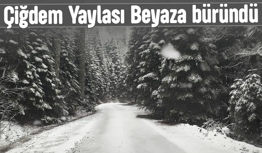 Çiğdem Yaylası'ndan kar manzarası