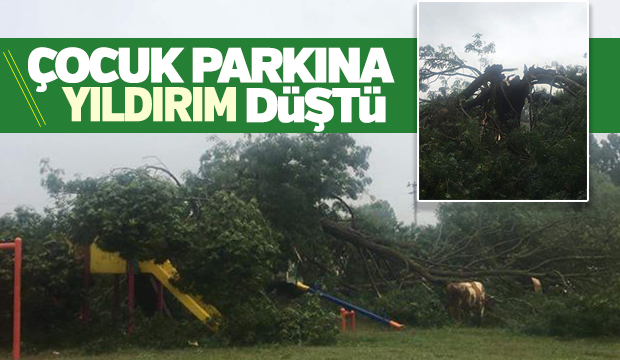 ÇOCUK PARKINA YILDIRIM DÜŞTÜ