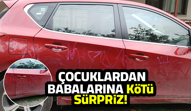 Çocuklar arabayı boyadı!