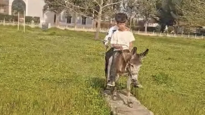 Çocuklar eşekle sokak sokak gezdi