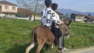 Çocuklar eşekle sokak sokak gezdi