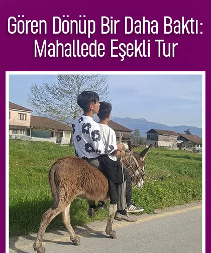 Çocuklar eşekle sokak sokak gezdi