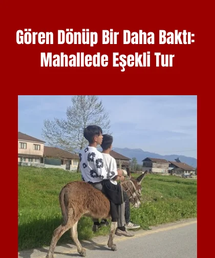 Çocuklar eşekle sokak sokak gezdi