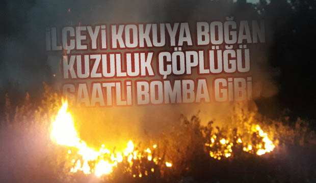 Çözün artık bu sorunu, ilçeyi kokuya boğuyor