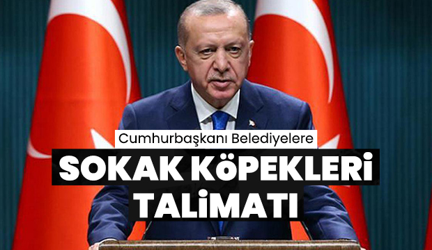 Cumhurbaşkanı Erdoğan'dan belediyelere sokak köpeği talimatı