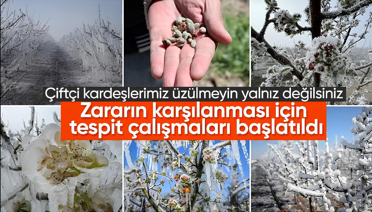 Cumhurbaşkanı Erdoğan: Zirai don nedeniyle gıda arzı risk altında değil