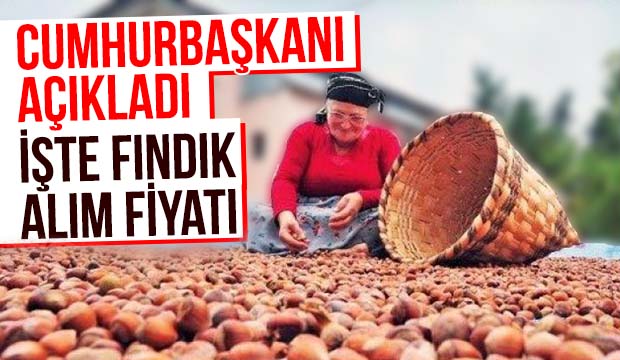 Cumhurbaşkanı fındık fiyatını açıkladı