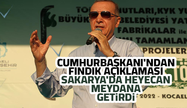Cumhurbaşkanı'ndan Sakarya açıklaması