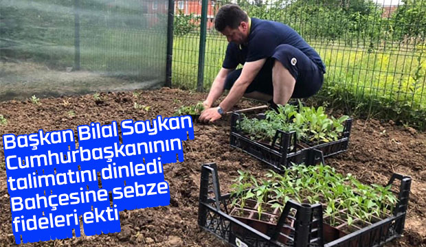 Cumhurbaşkanının talimatını dinledi fide ekti