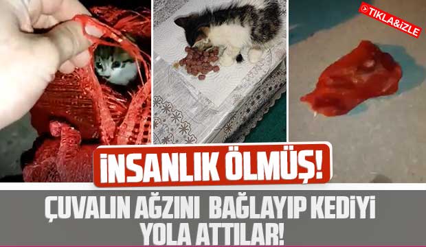 Çuvalın ağzını bağlayıp kediyi yola attılar