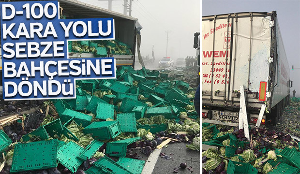 D 100 sabah saatleri Karayolu sebze bahçesine döndü