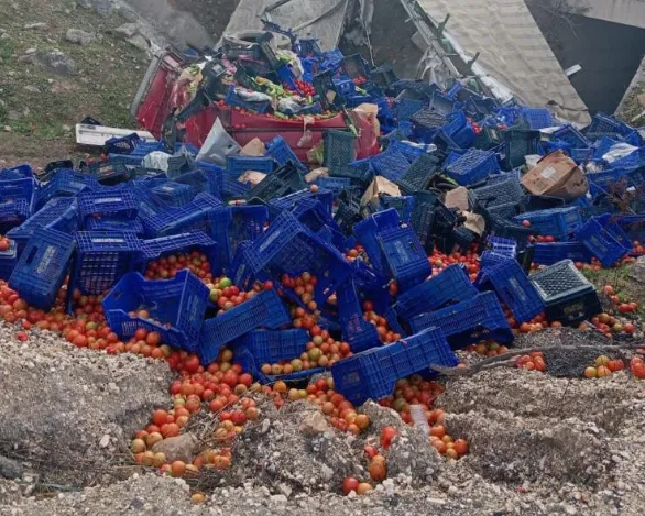 D-650'de sebze yüklü tır kaza yaptı