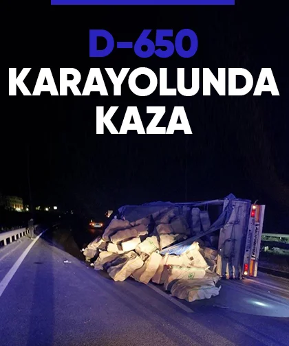 D-650 karayolunda kaza