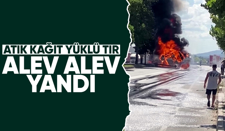 D-650'de kağıt yüklü tır alev topuna döndü