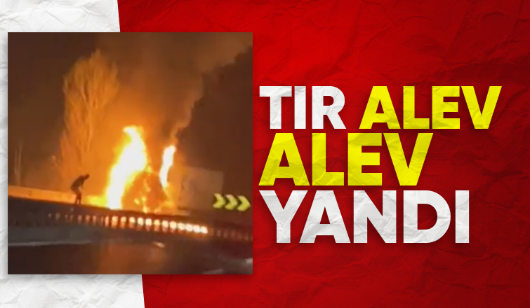 D-650'de tır alevlere teslim oldu