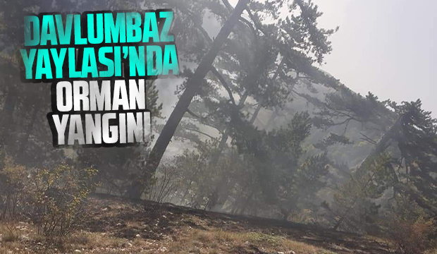 Davlumbaz Yaylası'nda yangın