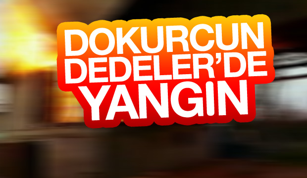 Dedeler Mahallesinde Yangın