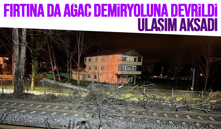 Demir yoluna ağaç devrildi, ulaşım aksadı