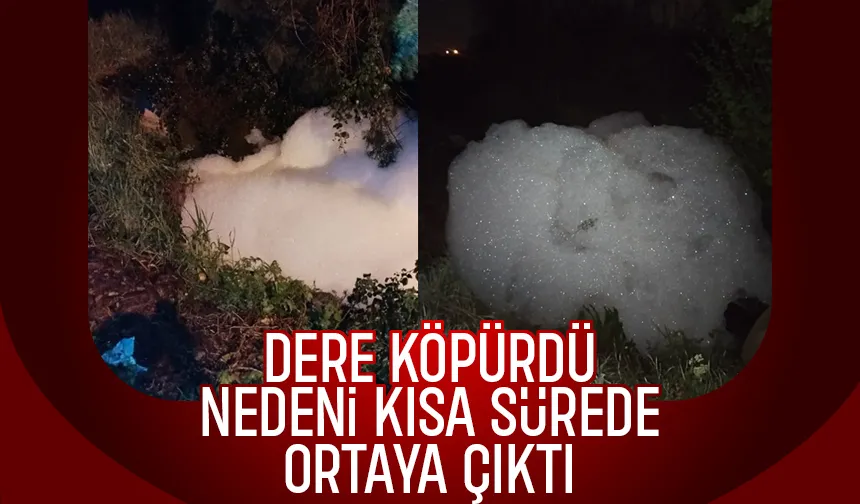 Dere köpürdü, İşte nedeni