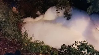 Dere köpürdü, İşte nedeni