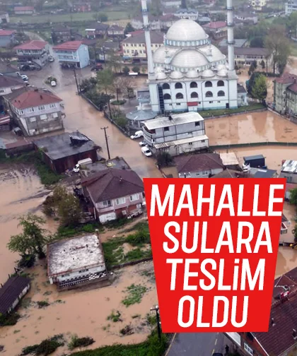 Dere taştı, mahalle sular içinde kaldı