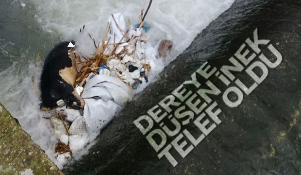 Dereye Düşen İnek Telef Oldu