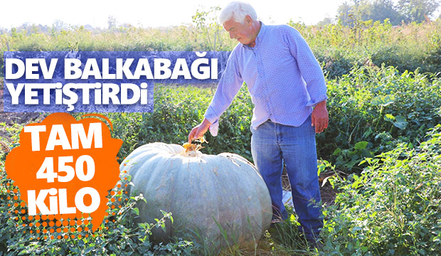 Dev balkabağı yetiştirdi