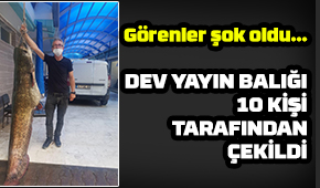 Dev yayın balığı yakaladılar