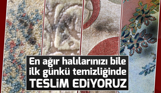 Dileyene Elde Dileyene Otomatik Makinada Yıkama