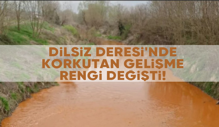 Dilsiz deresi kirlilikten renk değiştirdi