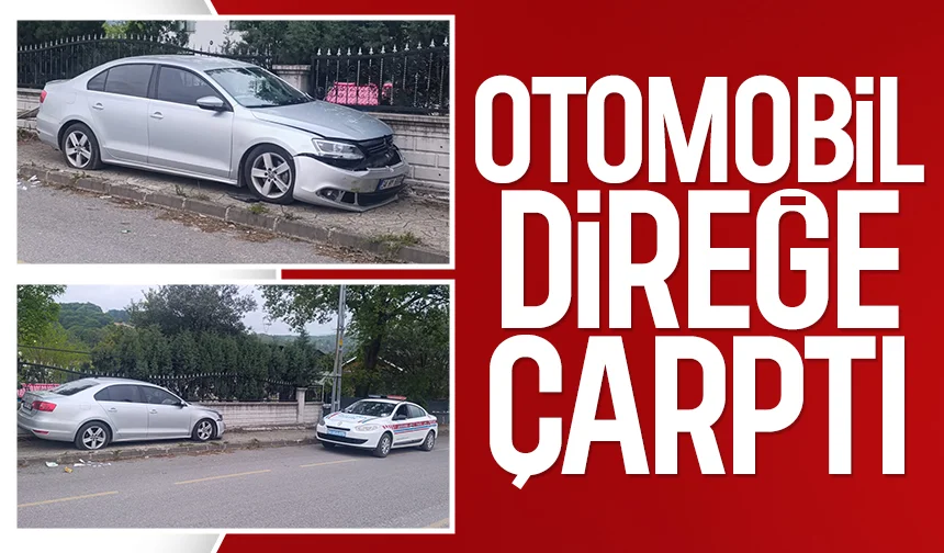 Direğe çarpan otomobilin sürücüsü yaralandı