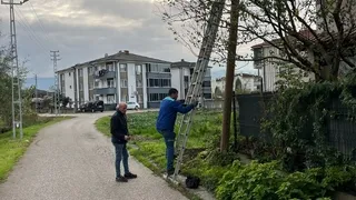 Direğe müdahale edildi, sokak trafiğe açıldı