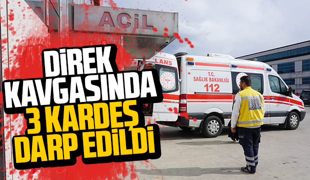 Direğin yeri konusunda kavga çıktı, 3 kardeş darp edildi