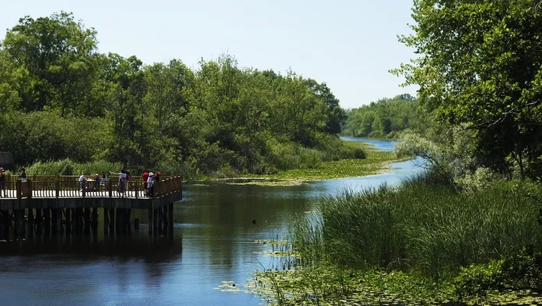 Doğa harikası Acalar Longozu için yeni koruma kararı