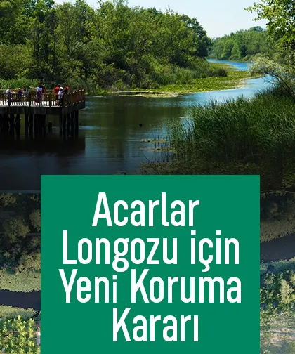 Doğa harikası Acalar Longozu için yeni koruma kararı