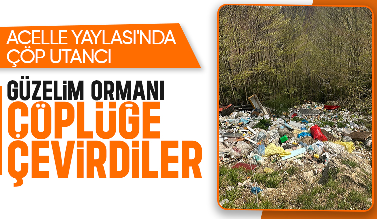 Doğa Katliamı: Acelle Yaylası çöplüğe döndü