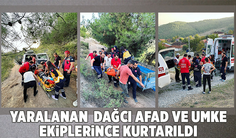 Doğa yürüyüşü kötü bitti