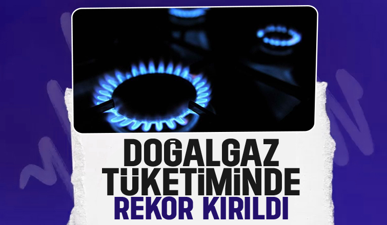 Doğalgaz tüketiminde rekor