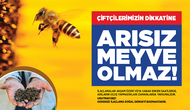 Doğru ilaçlama ile arı yaşamına destek sağlanır