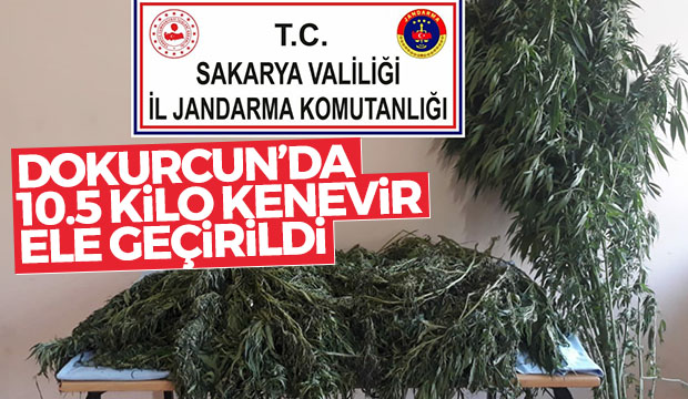 Dokurcunda Kenevir Ele Geçirildi
