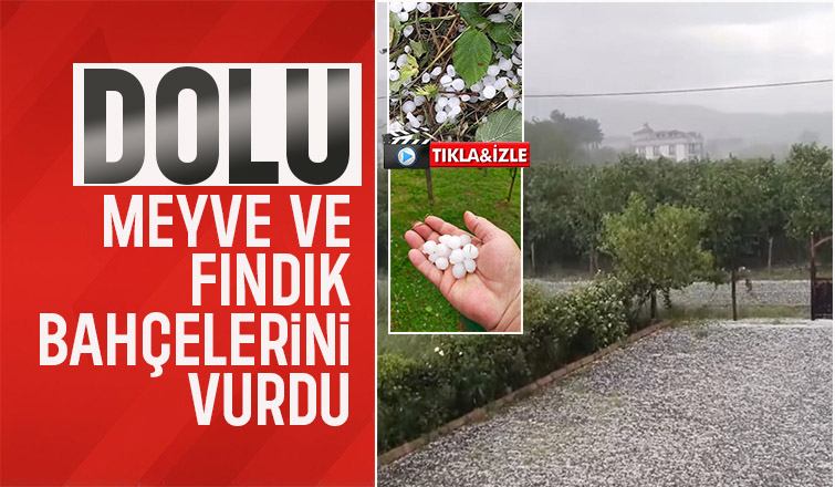 Dolu yağışı fındık ve meyve bahçelerine zarar verdi