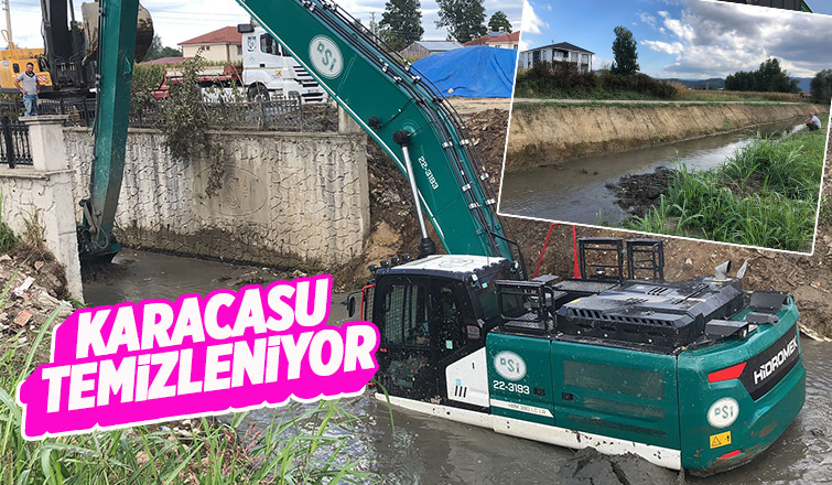 DSİ'den Karacasu'da temizlik çalışması